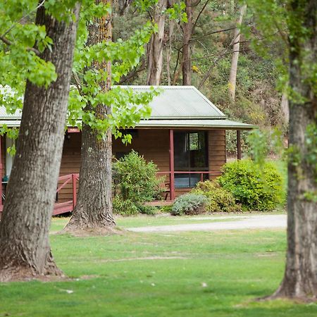 Beechworth Holiday Park エクステリア 写真