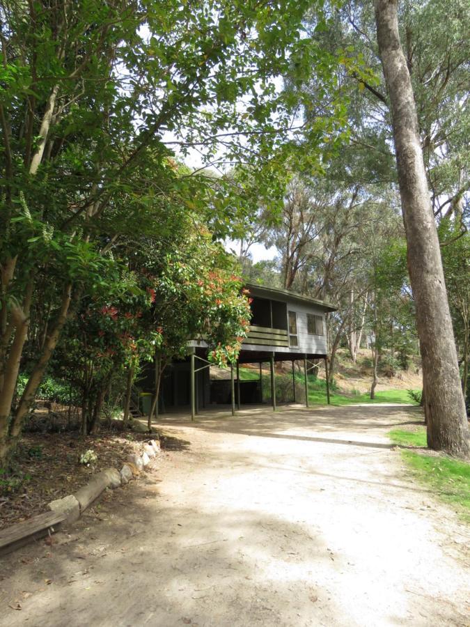 Beechworth Holiday Park エクステリア 写真