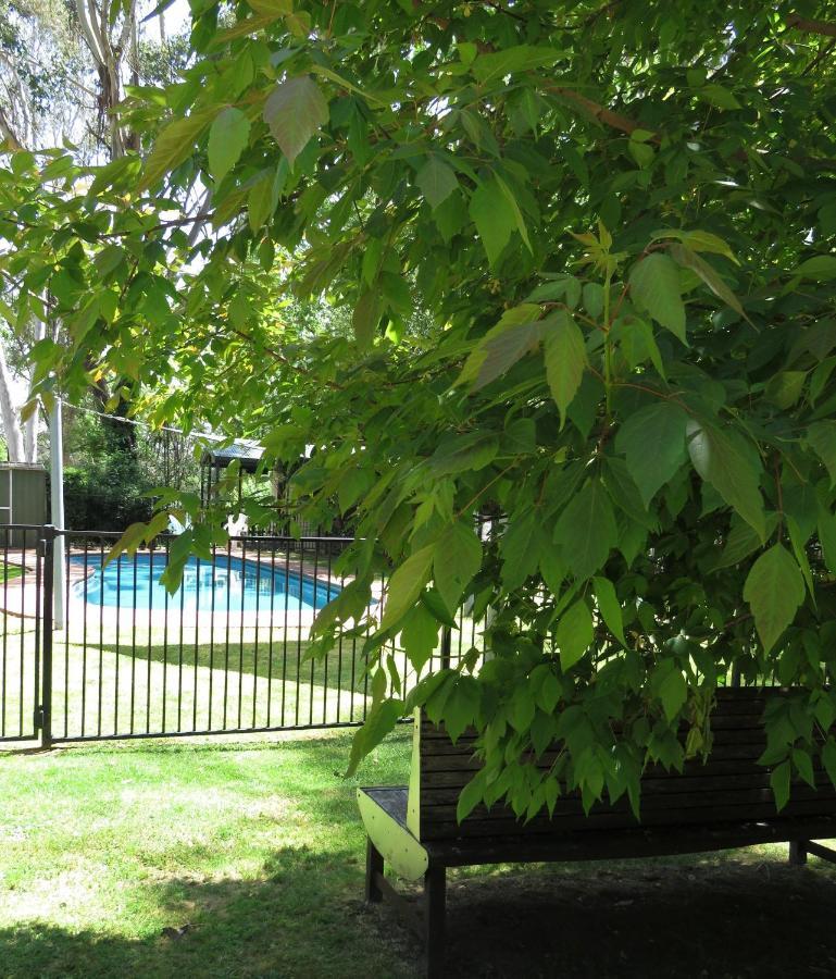 Beechworth Holiday Park エクステリア 写真