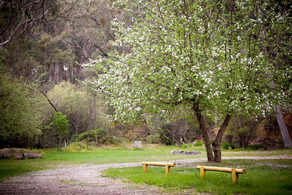 Beechworth Holiday Park エクステリア 写真